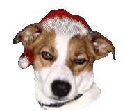 Weihnachten tiere bilder