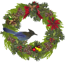 Weihnachten vogel