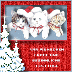 Weihnachtenwunch bilder