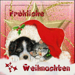 Weihnachtenwunch bilder