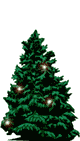 Weihnachts baume bilder