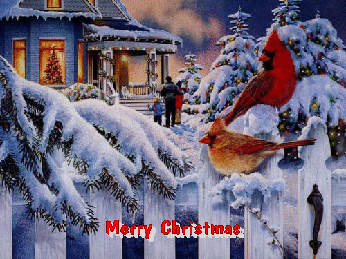 Weihnachts wunsche bilder