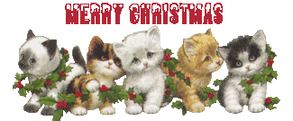 Weihnachts wunsche bilder