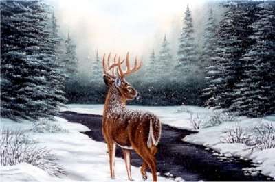 Winter bilder