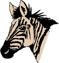 Zebra bilder