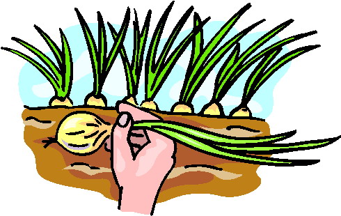 Gartenarbeiten cliparts