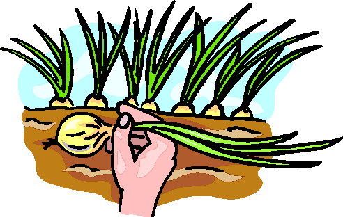Gartenarbeiten cliparts