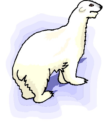 Eisbaren cliparts
