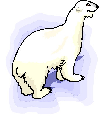 Eisbaren