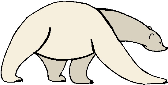 Eisbaren