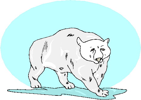 Eisbaren