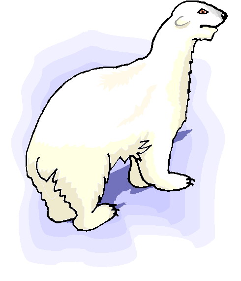 Eisbaren