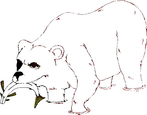 Eisbaren cliparts