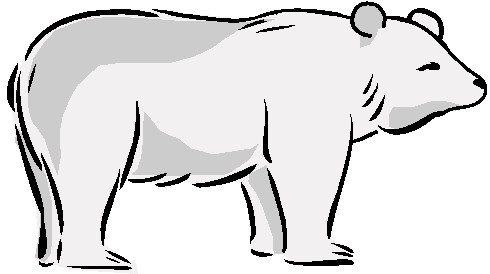 Eisbaren