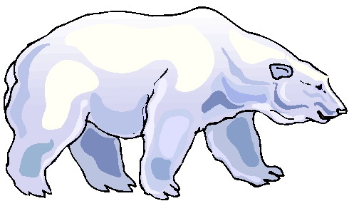 Eisbaren