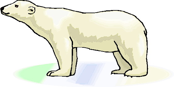 Eisbaren cliparts