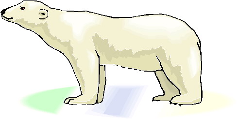 Eisbaren