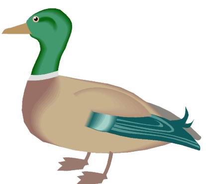 Enten cliparts