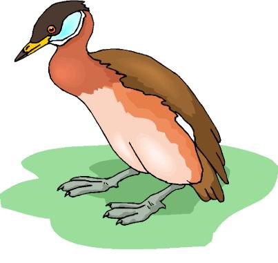 Enten cliparts