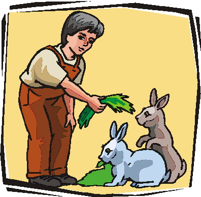 Kaninchen cliparts