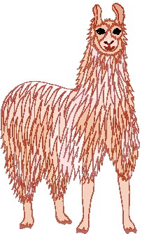 Lama cliparts