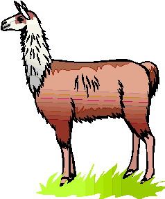 Lama cliparts