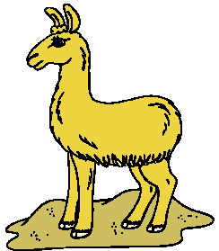 Lama