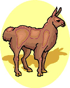 Lama