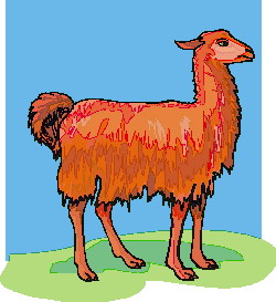 Lama cliparts