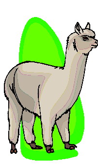 Lama cliparts