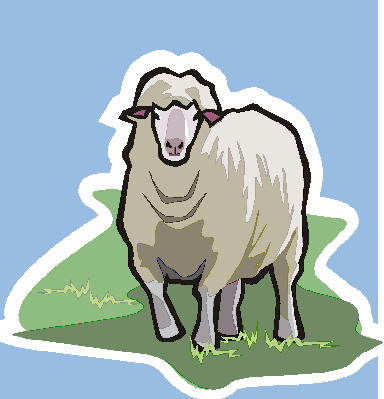 Schafe cliparts
