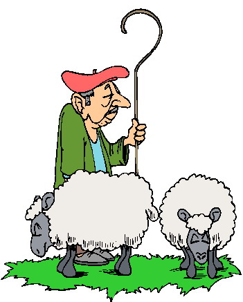 Schafe