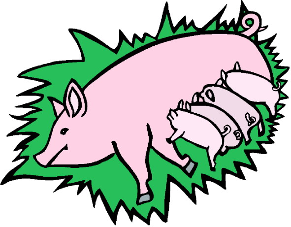 Schweine