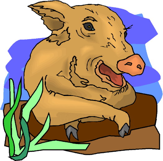 Schweine