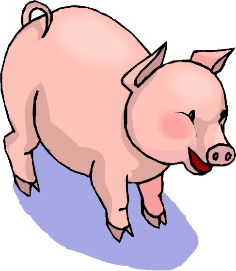 Schweine