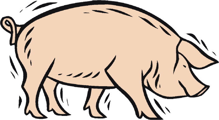 Schweine