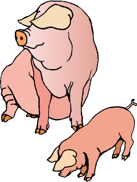 Schweine cliparts