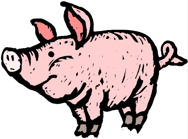 Schweine