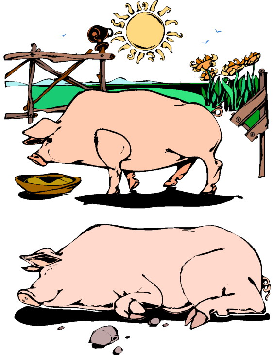 Schweine cliparts