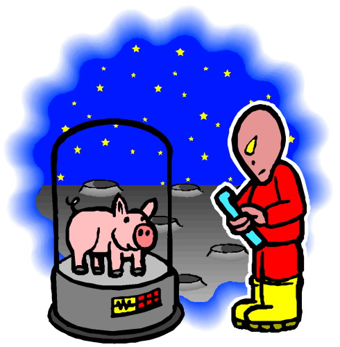 Schweine cliparts