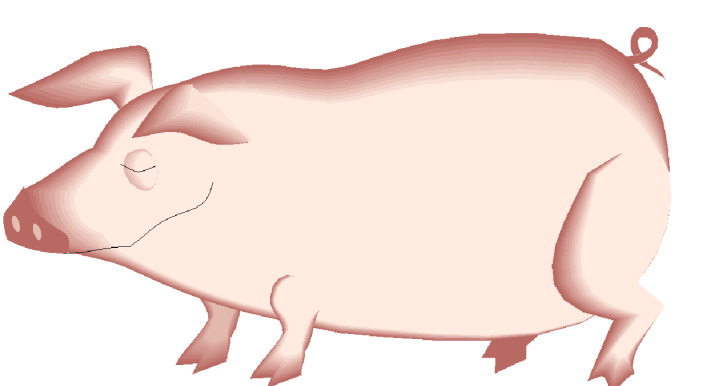 Schweine cliparts