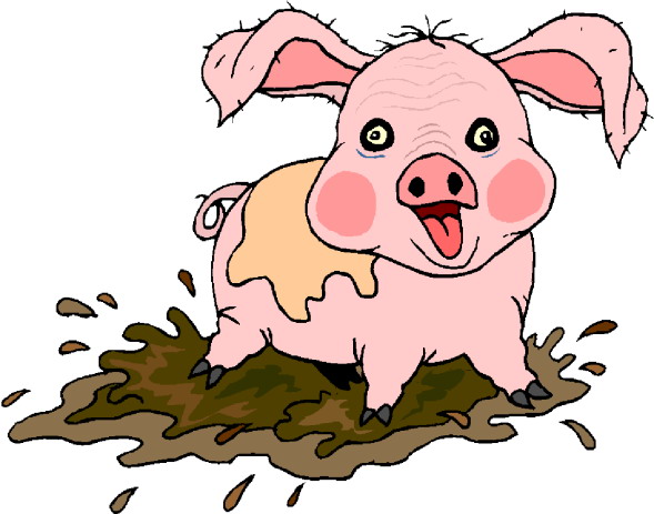 Schweine