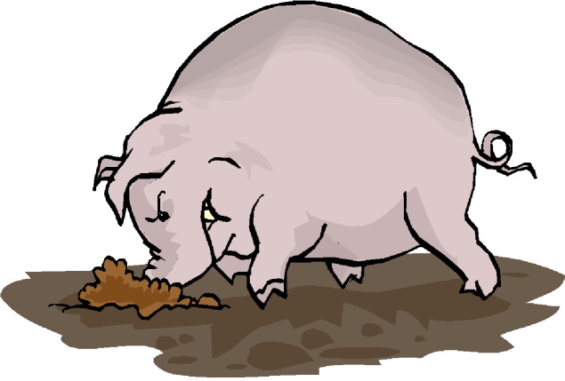 Schweine cliparts