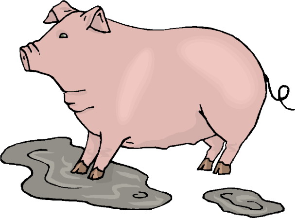 Schweine