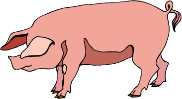 Schweine cliparts