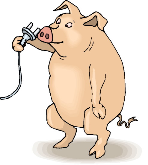 Schweine cliparts