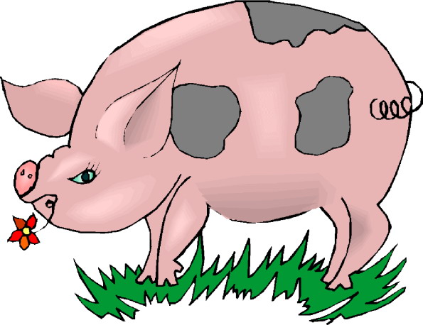 Schweine