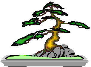 Bonsai