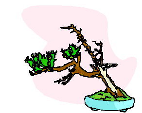 Bonsai cliparts