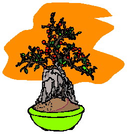 Bonsai cliparts